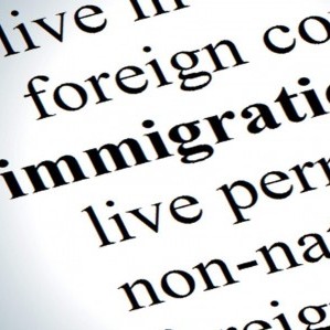 Immigration Lawyer