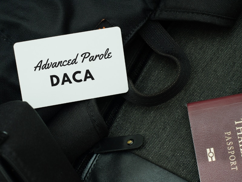 A card with advance parole for DACA printed on it with a half image of passport